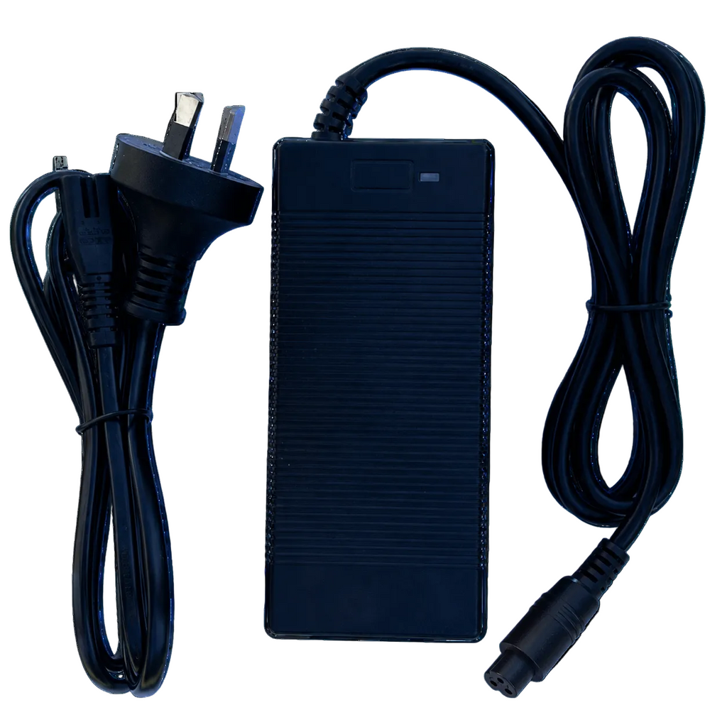 Fast charger for electric bike Zephyr X2 X3 X29 S20 48V 4A