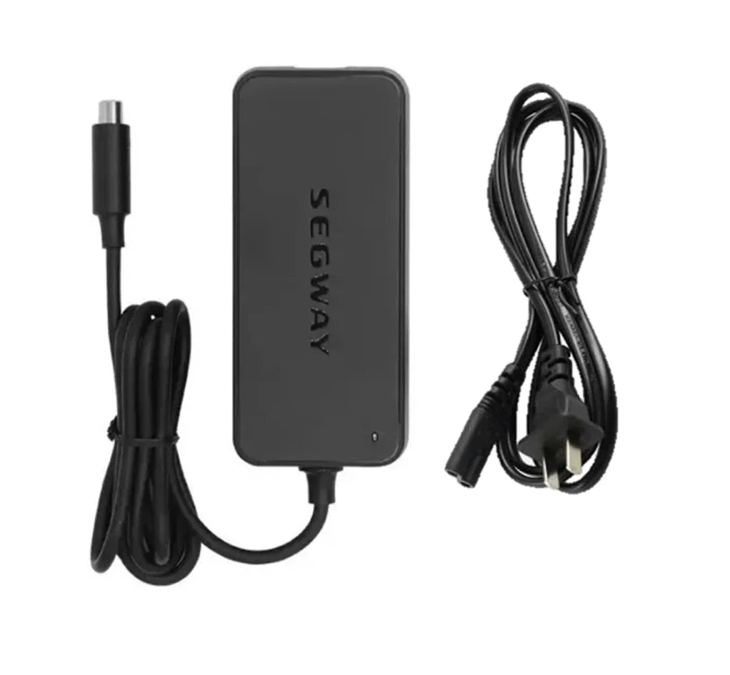 Black Segway power adapter with cables on a white background